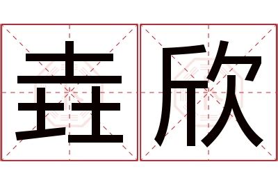 欣名字